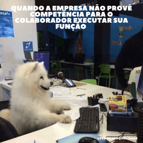 Meme sobre gestão de competências