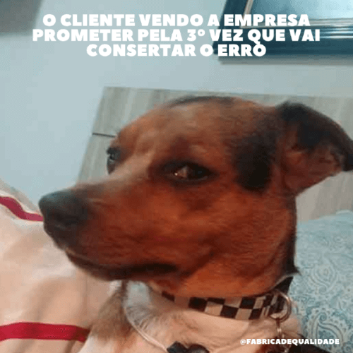 Meme confiança com o Cliente