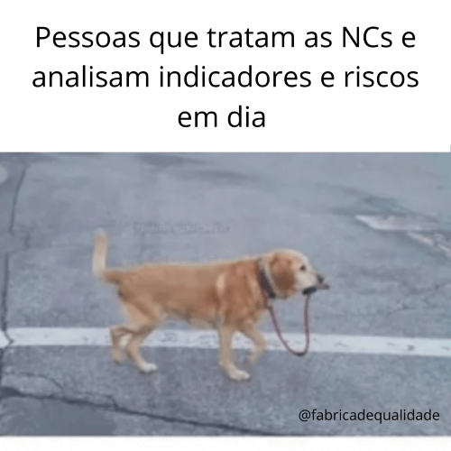 Meme faça a Qualidade por si mesmo.