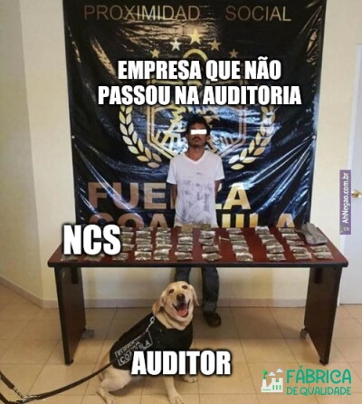 Auditorias da Qualidade (3)