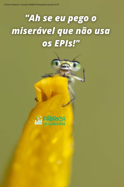 EPI em dia na auditoria