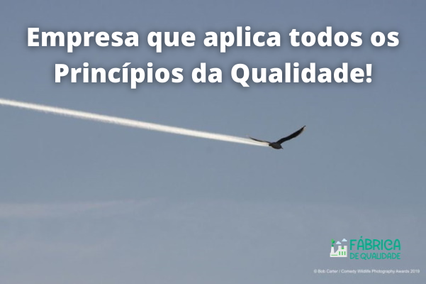 Empresa_que_aplica_todos_os_Princípios_da_Qualidade