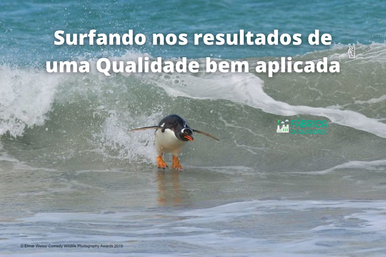 Surfando_nos_resultados_de_uma_Qualidade_bem_aplicada