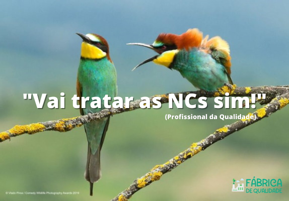 Vai_tratar_as_NCs_sim