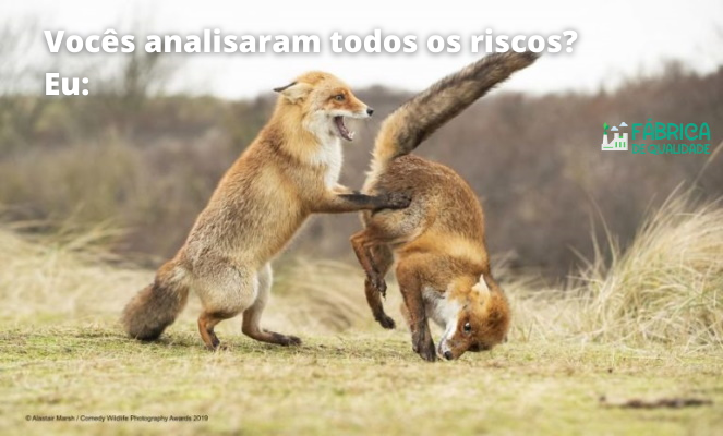 Vocês_analisaram_todos_os_riscos_Eu