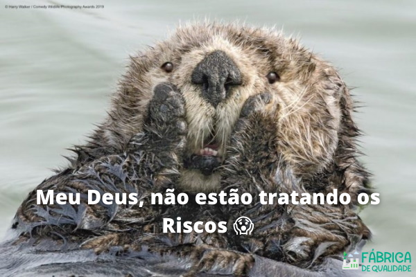 gestão de riscos